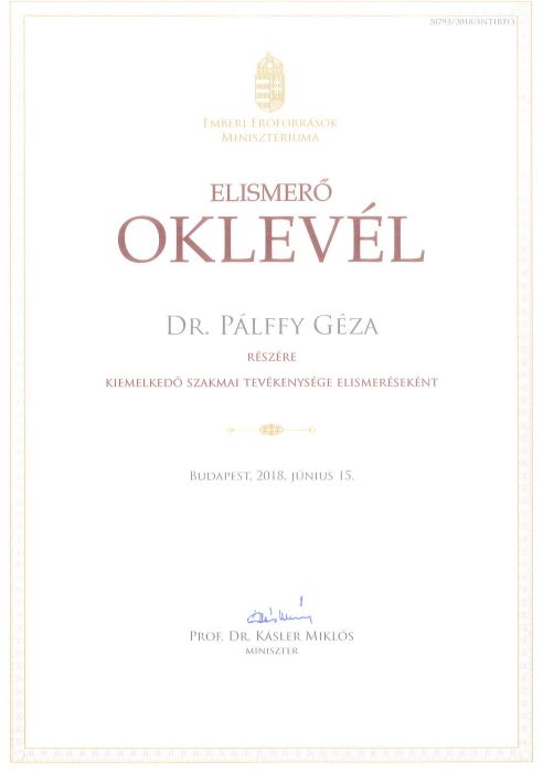 Miniszteri elismerésben részesült Pálffy Géza